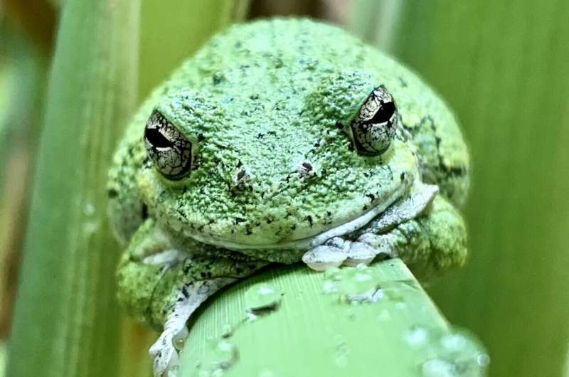 Roundup in Resilience: October 10, 2025