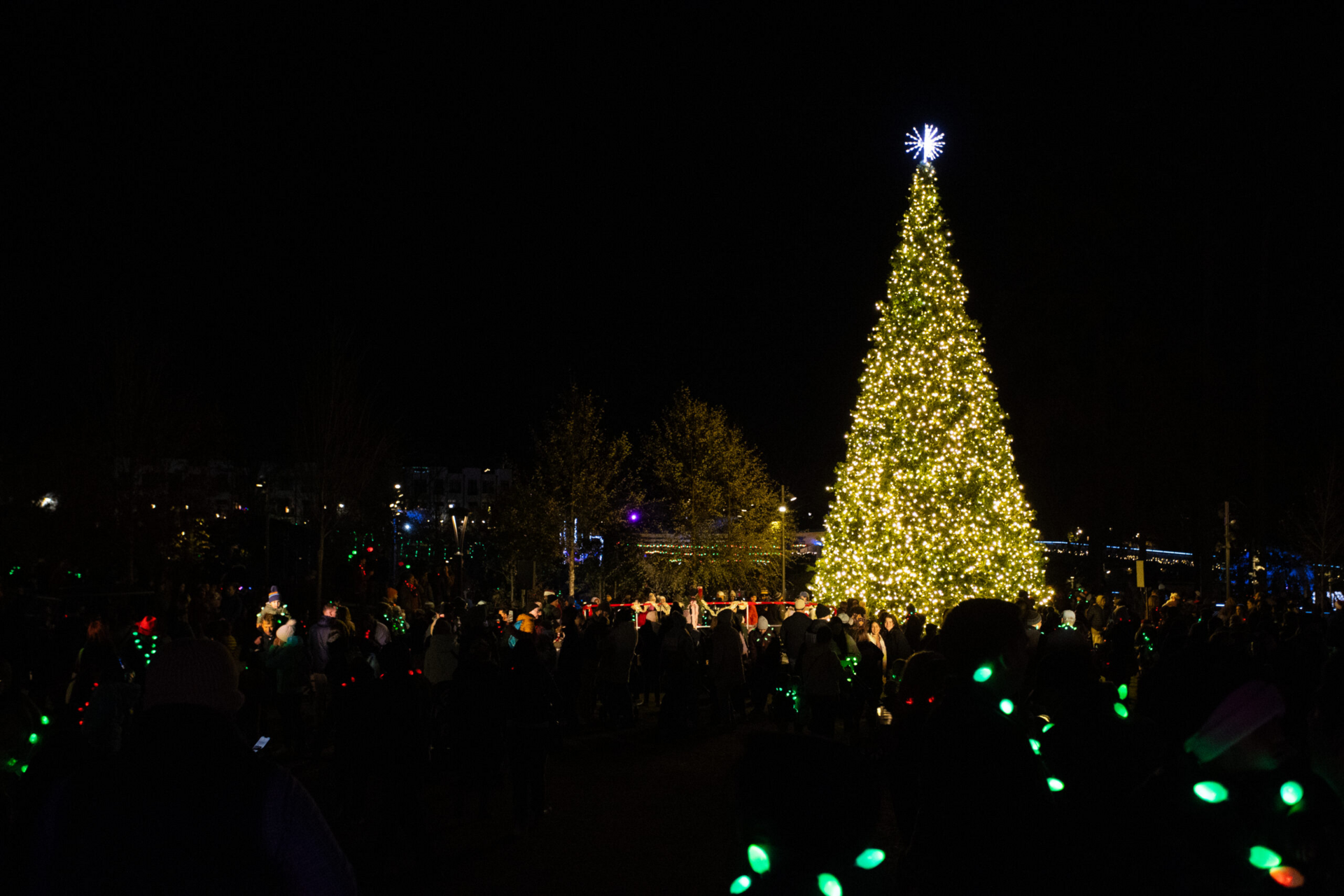 📘A Star's Hollow Market this Weekend