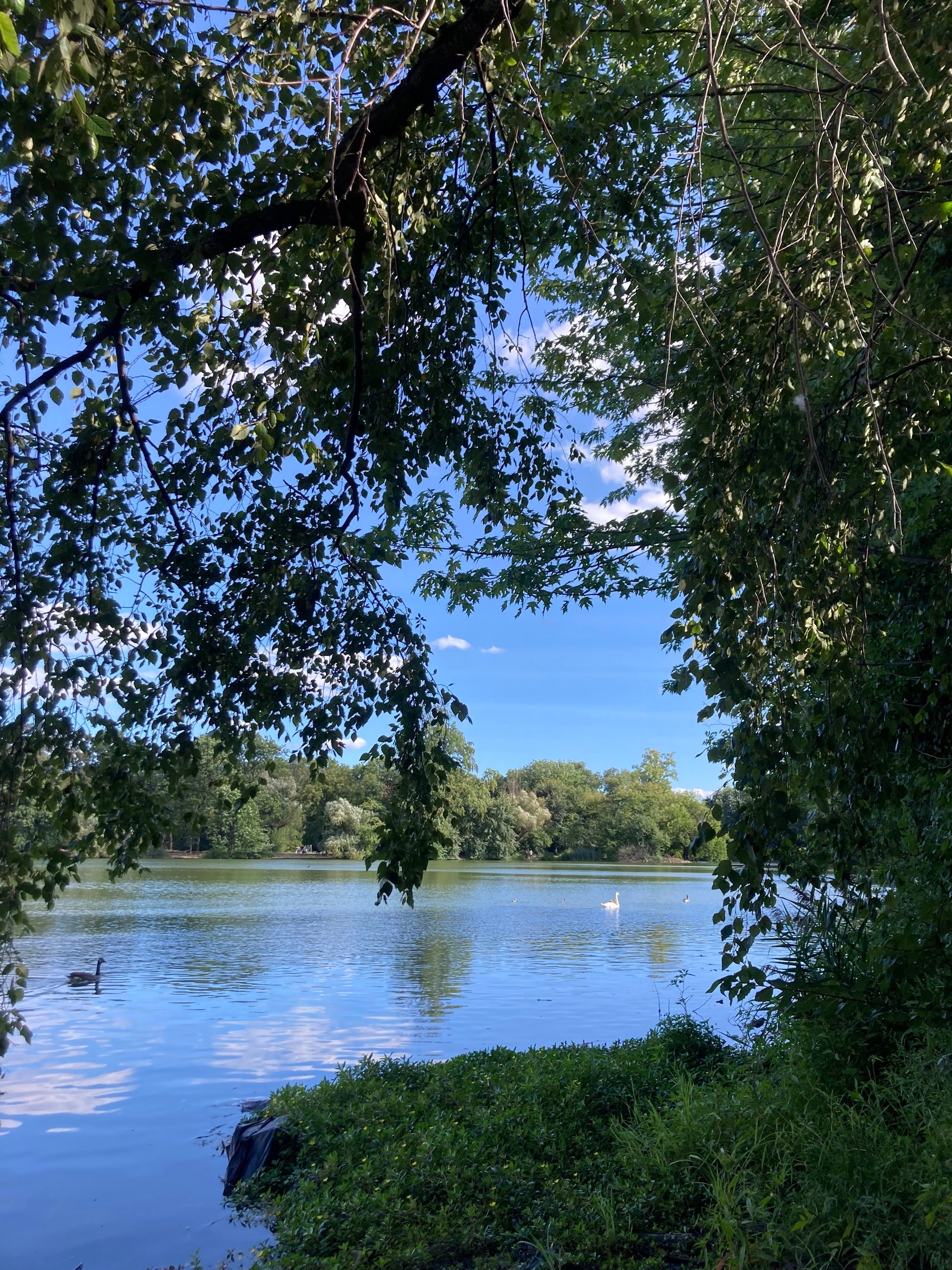 Offerings #13: Harris Dickinson says, "Prospect Park is always a vibe."