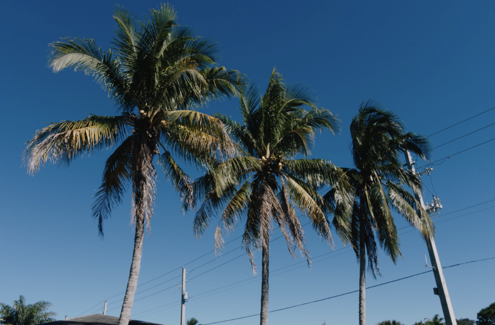 🌅 👮 Who Picks Fort Pierce’s Next Police Chief?