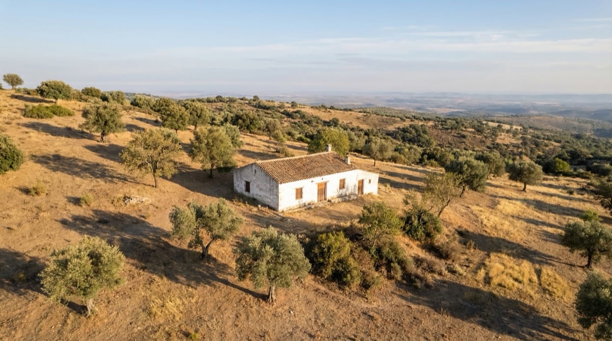 Your Property Exists. Its Planning Status Might Not.