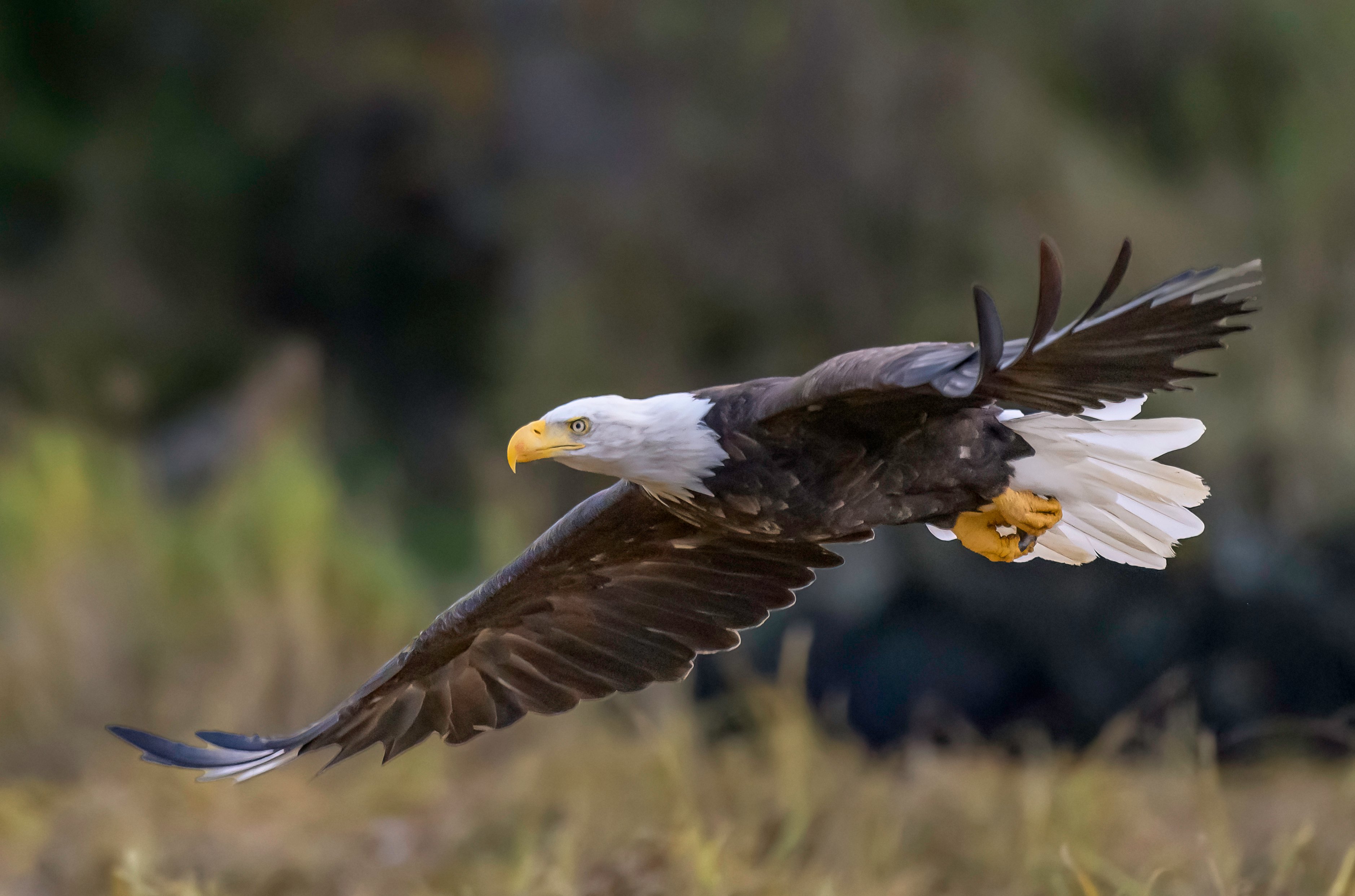 🕷️Spidey sense, TikTok brain, sleeping in plastic