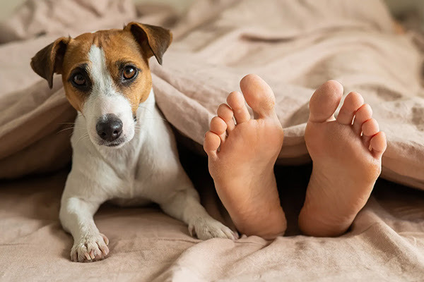 Your Pet Would Eat You. But Not Why You Think.