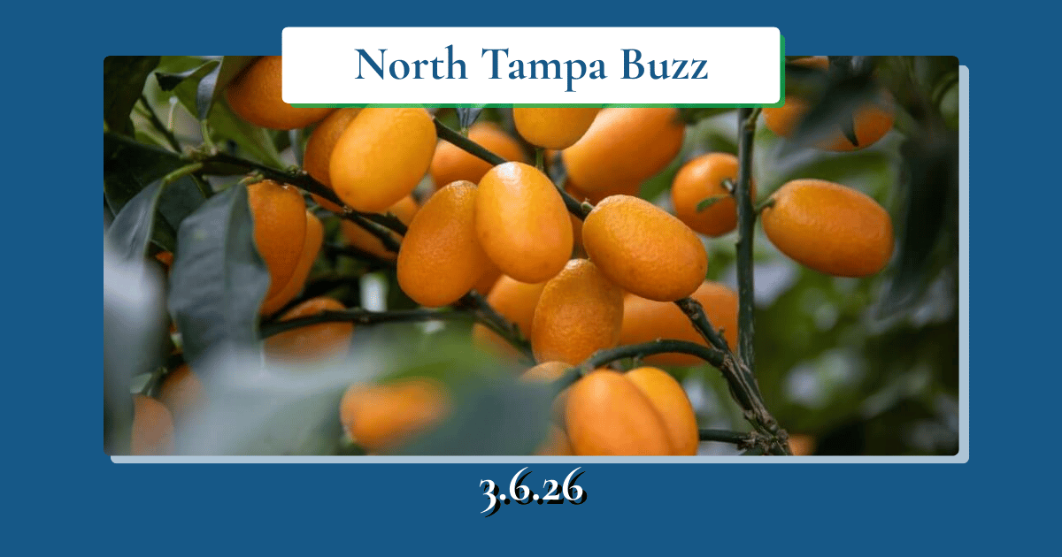 Spring Burritos, Onyx &