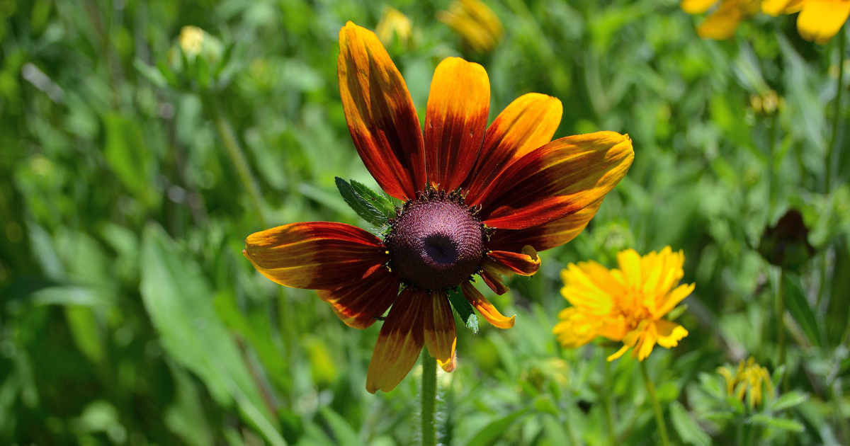 Nice Work: Imperfect circumstances