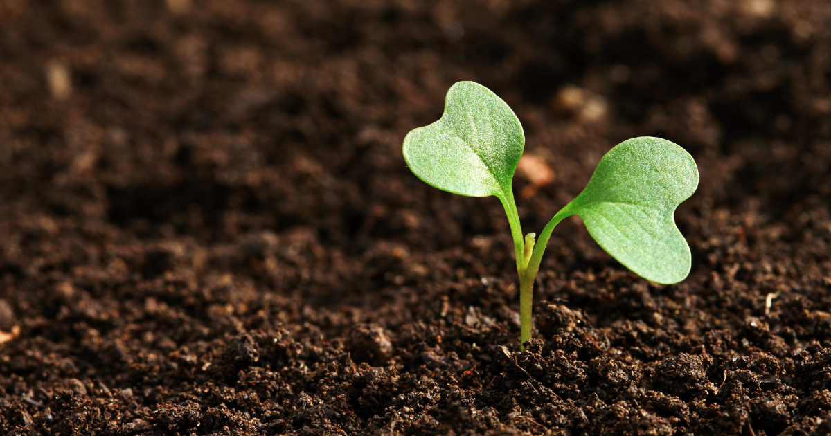 Nice Work: Maybe don't go so big?!