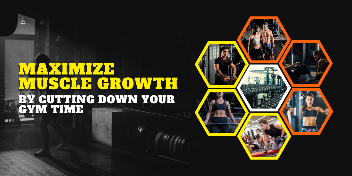 Maximize Muscle Growth