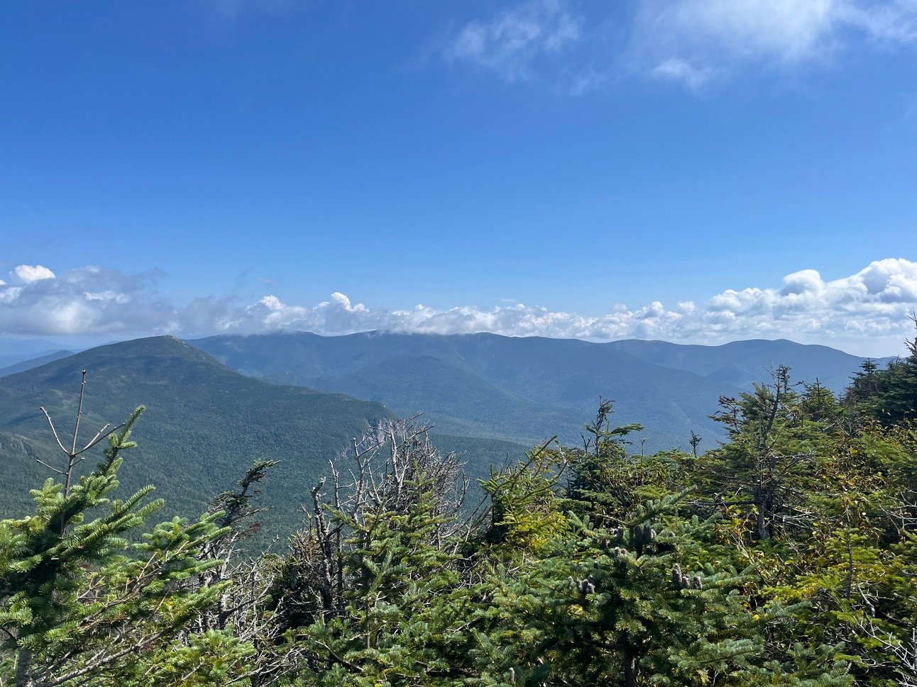 Three Good Days in New Hampshire