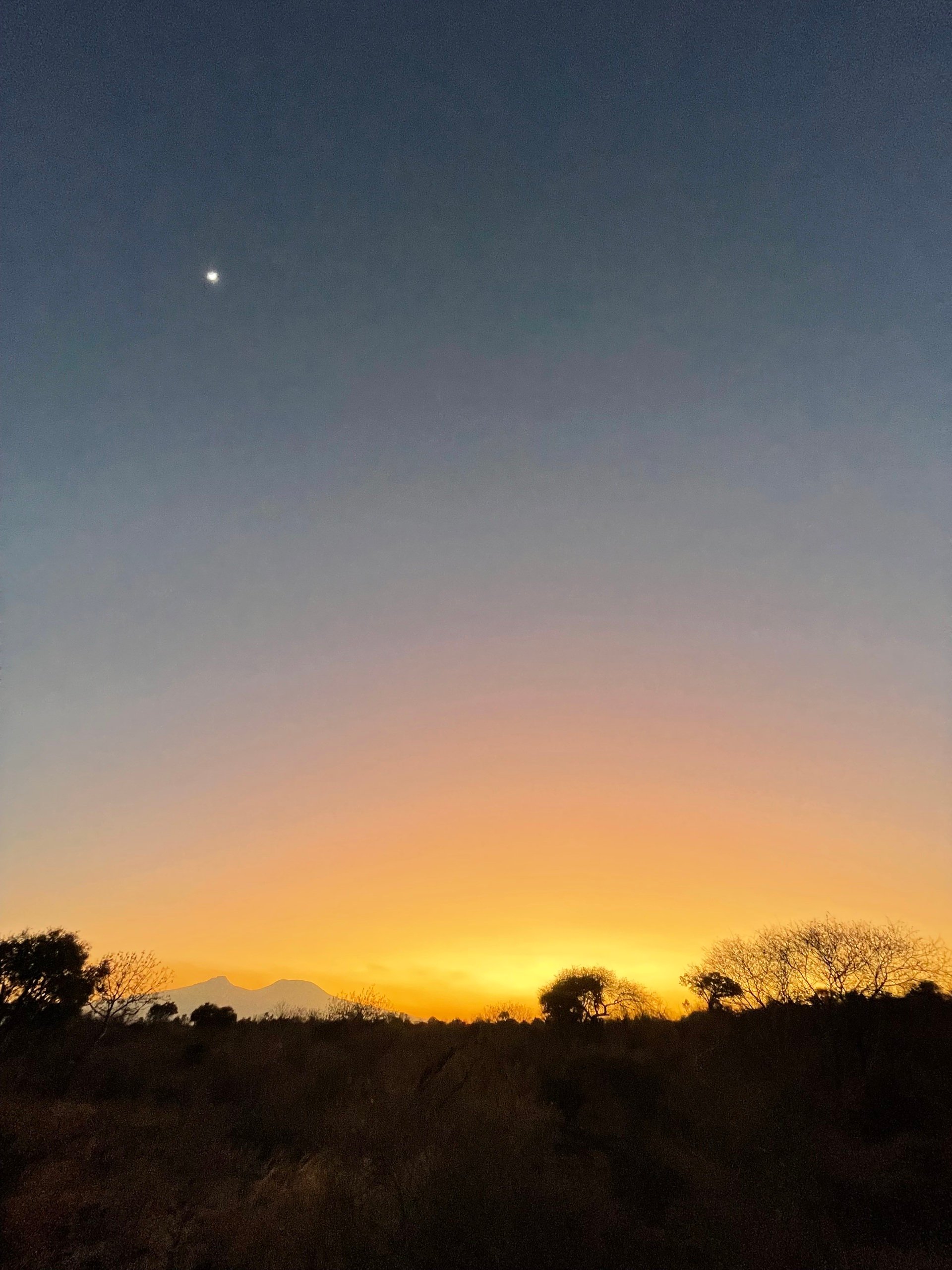 An Expat’s Sweet Spot: Virgin Points, Kenya, and a Closing Window