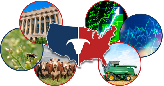 CATTLEUSA DRIVE - Thursday, December 11th