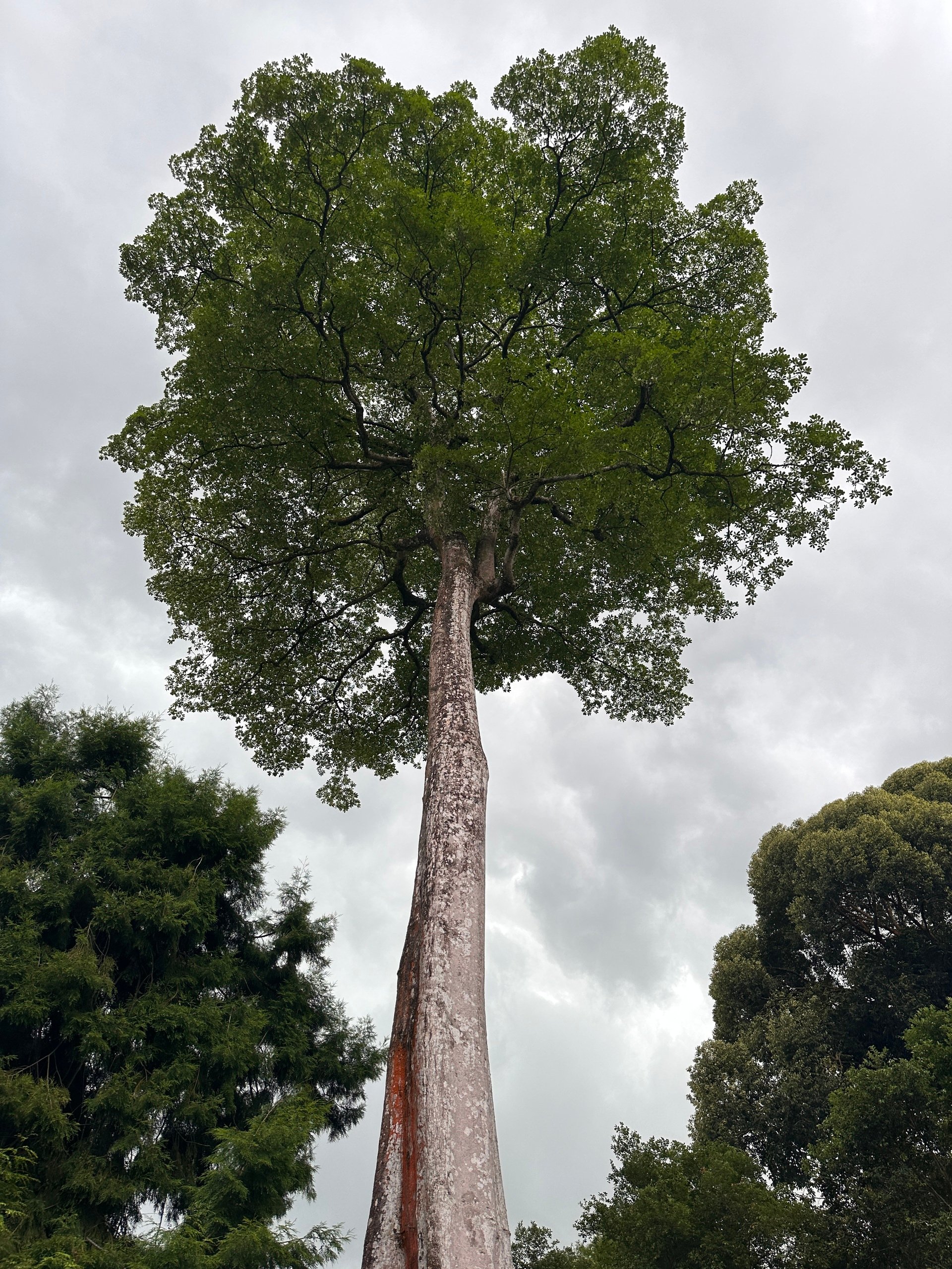 letter #53 What I'm Wearing