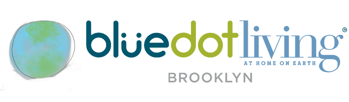 Brooklyn 🌎: February Snow and August Sun