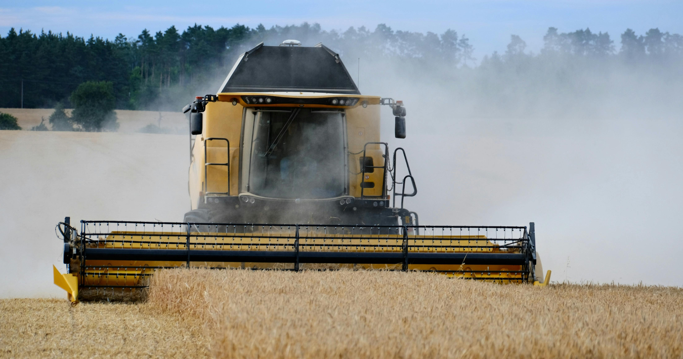 Global Wheat Production