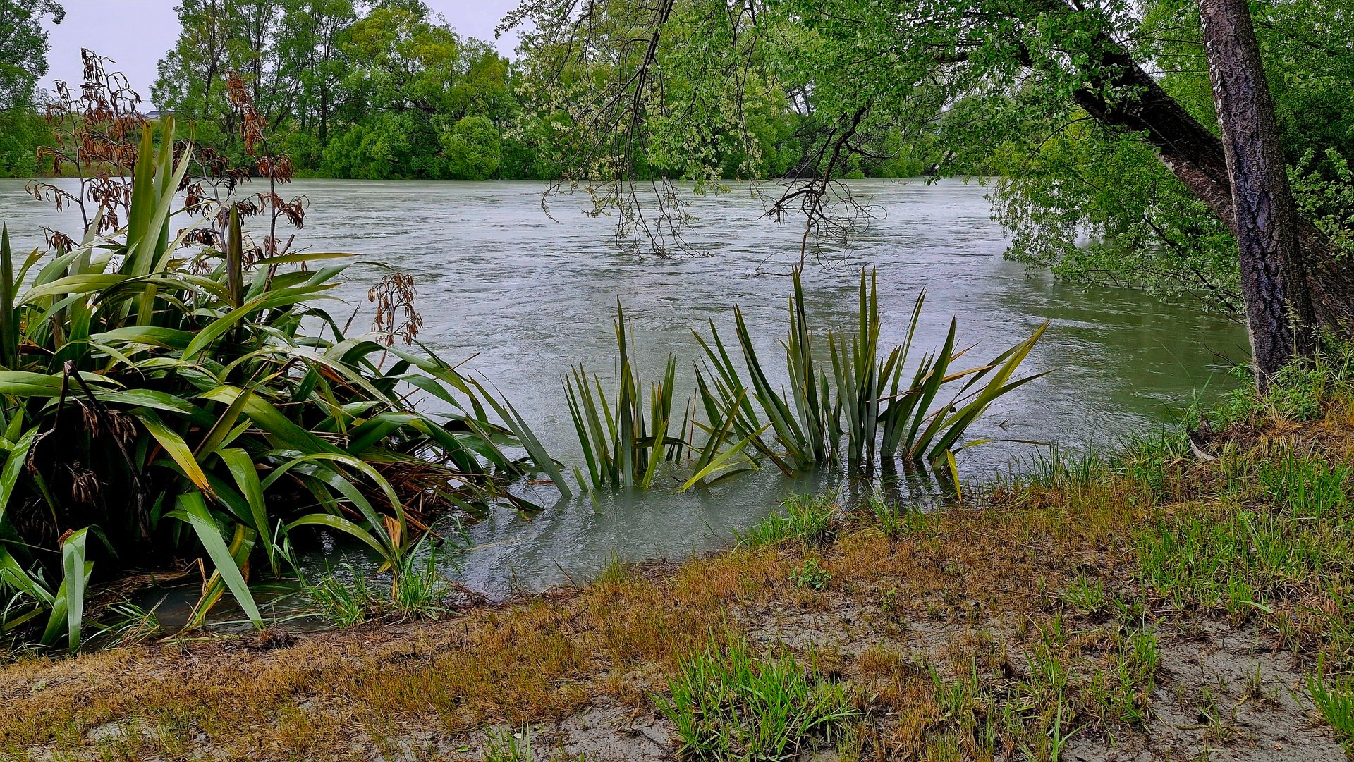 When Life Feels Like a River in Flood