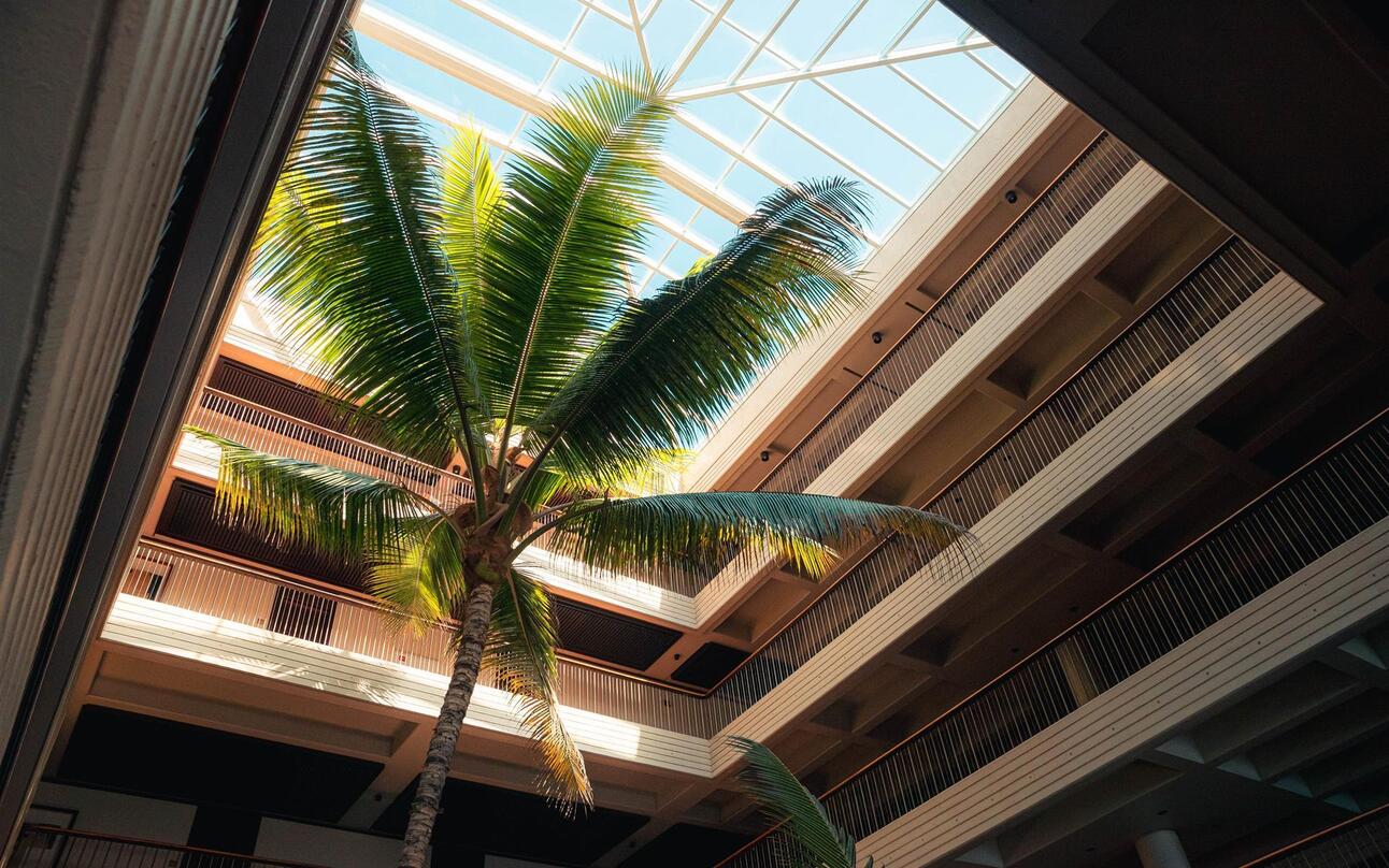 Island Hop for the Holidays