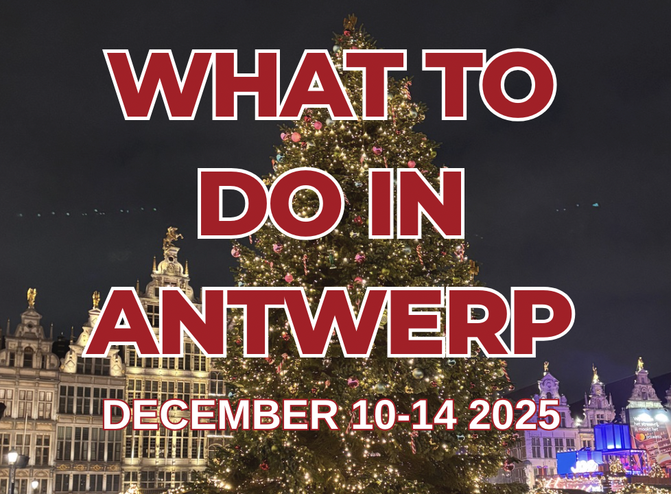 Antwerp Hive - Week 50.2025
