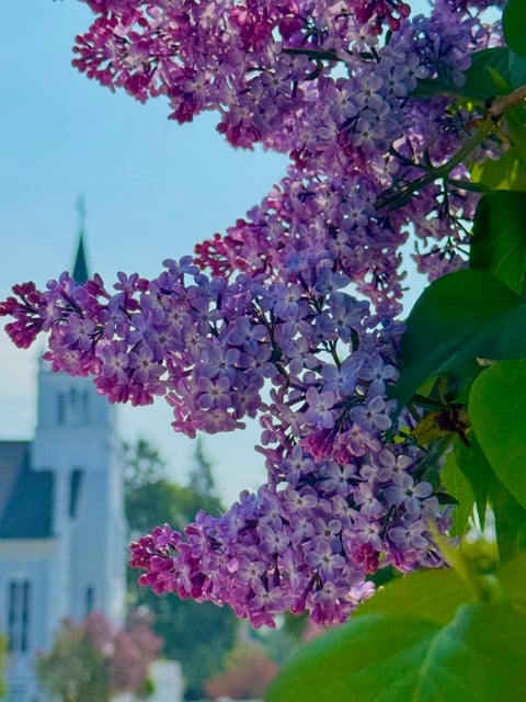 Mackinac Island Welcomes Spring as Businesses Prepare for Busy Season