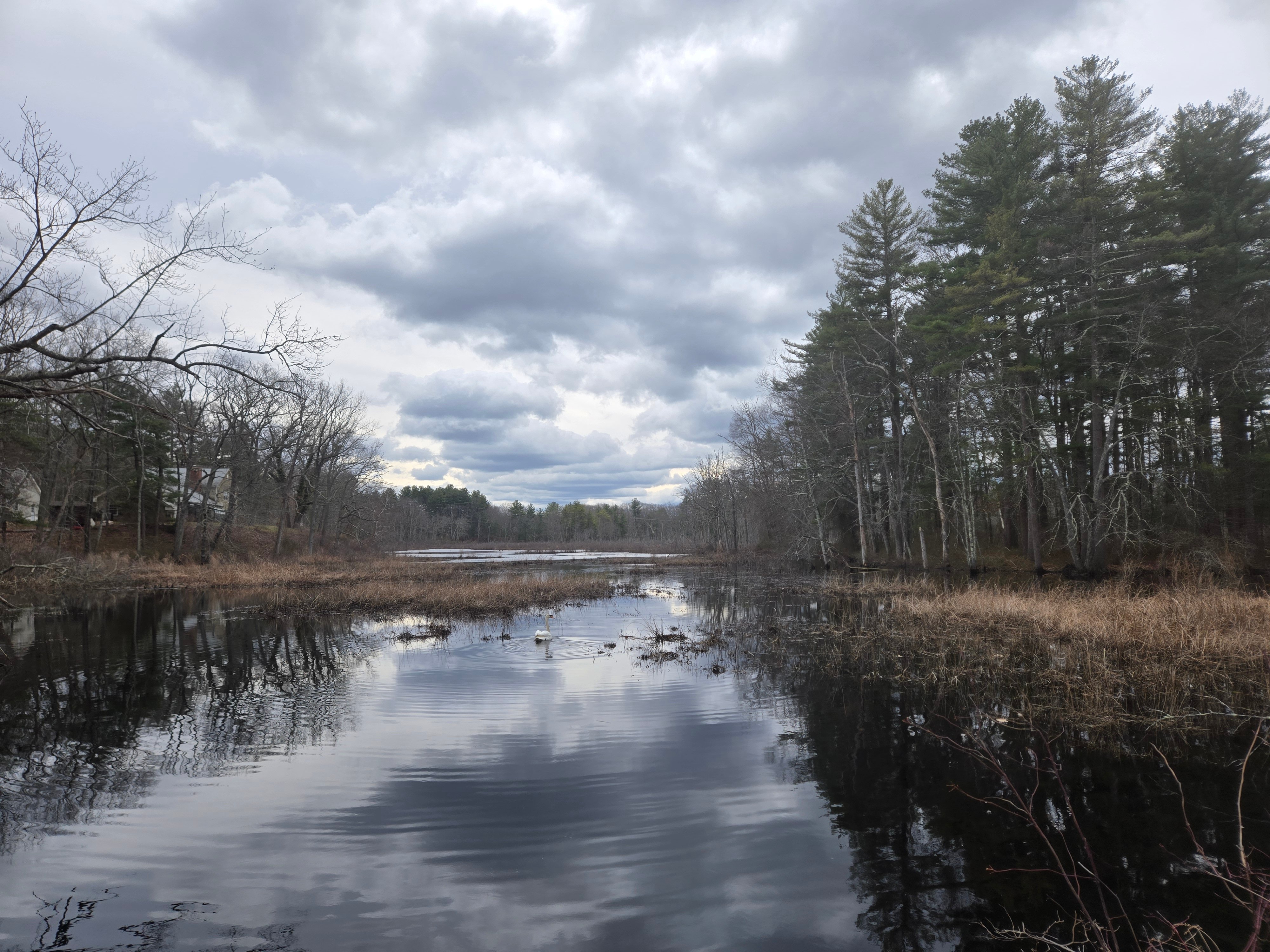 #AcademicRunPlaylist - 3/28/26