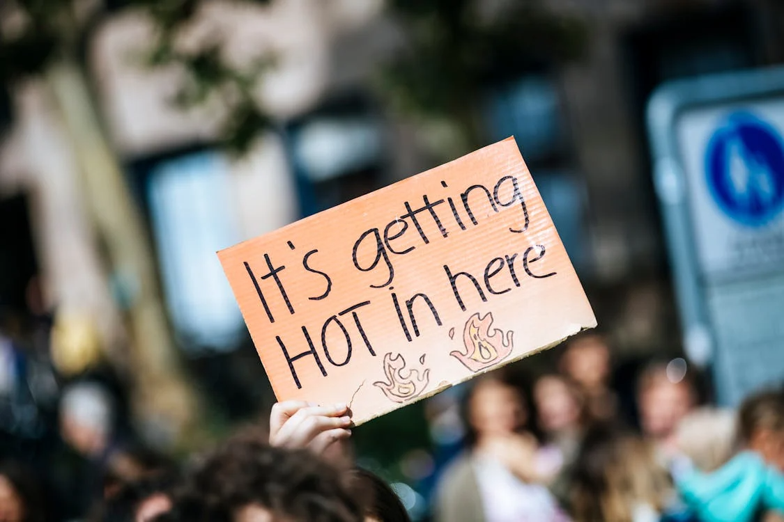 📰 Get Ready for a Wild Festival Weekend! 🎉