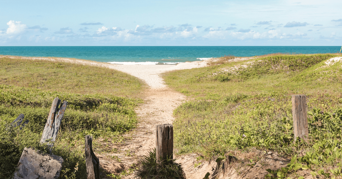 ☕ Warwick's Spring has Sprung