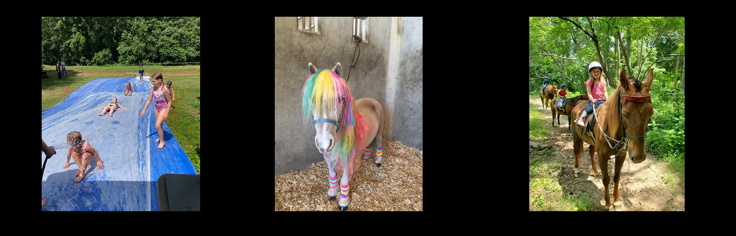 Time to sign up for summer horse camp!