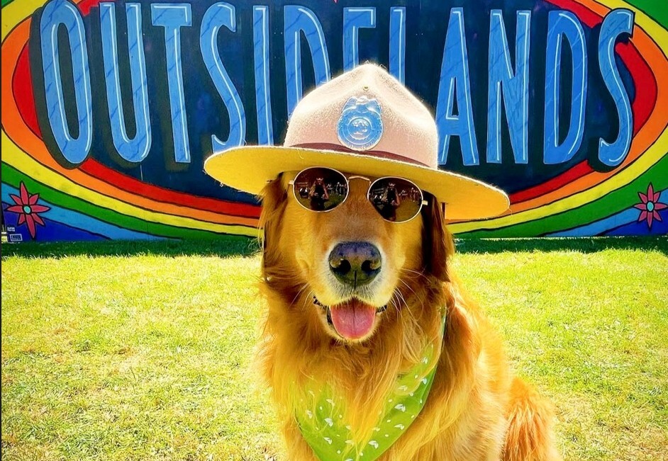 Brixton: San Francisco's Four-Legged Ambassador of Love