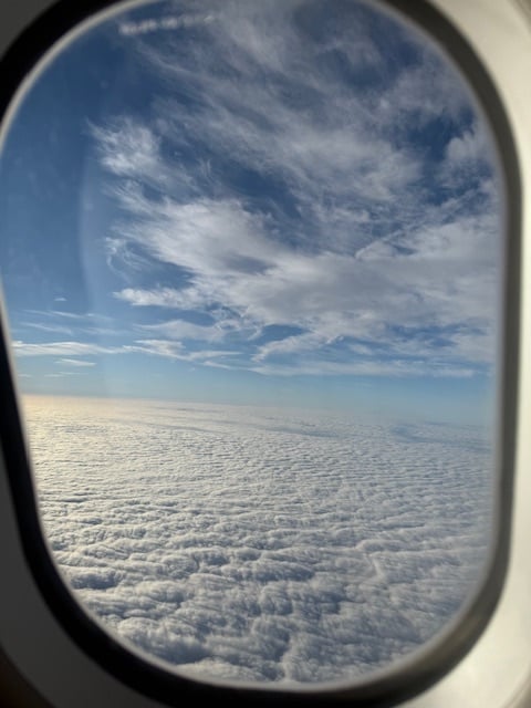 Intentions, Words and Actions