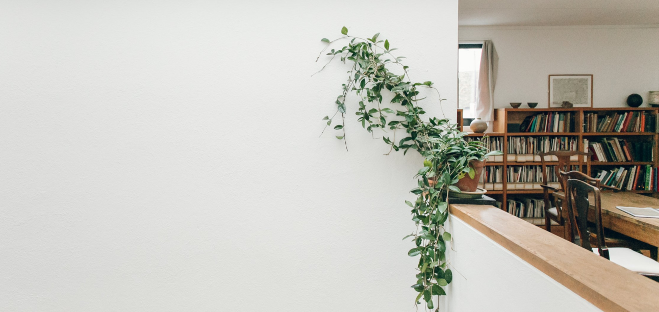 Introducing Garden Thinking