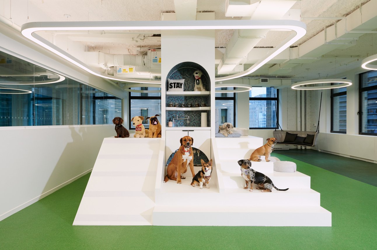 How A Great Dane Inspired Bark