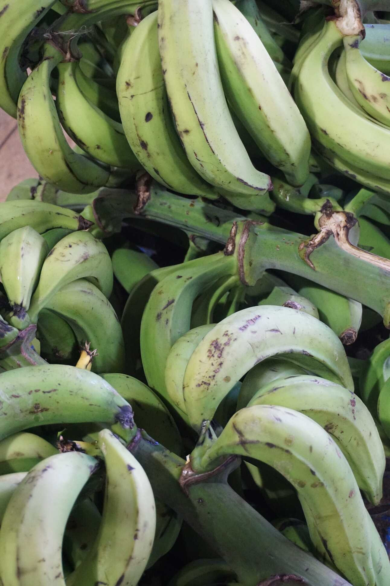 A Puerto Rico Itinerary