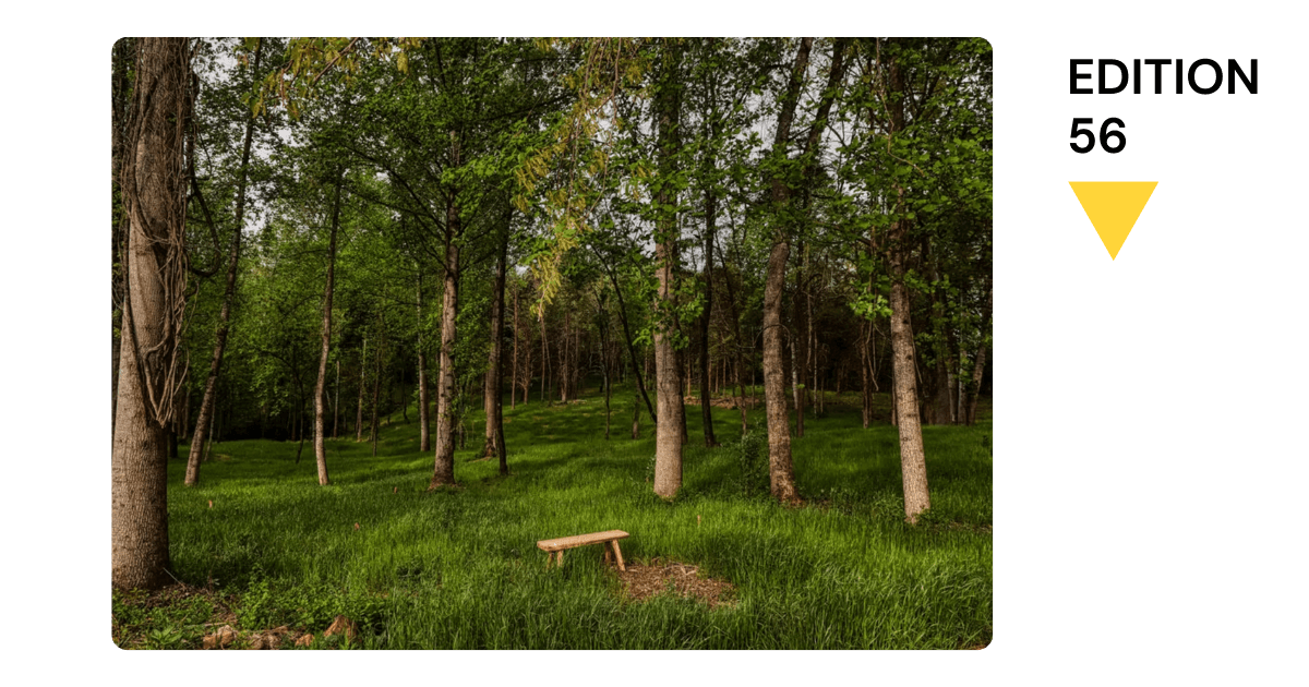 🦴 Buried at Panera, where at least it’s warm