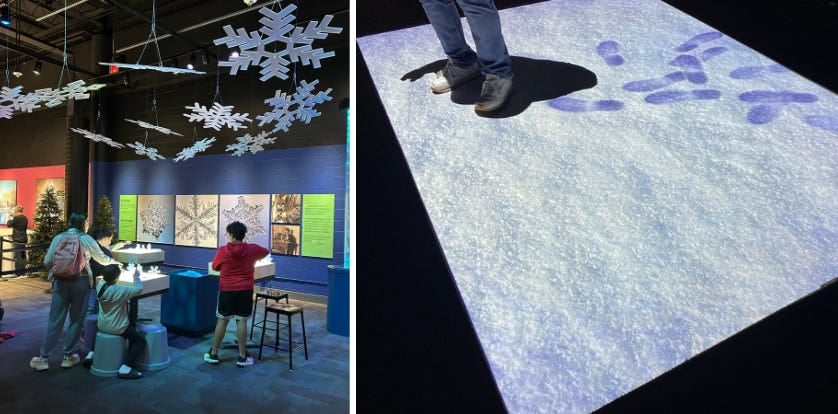 The snow day Charlotte misses (and can finally have)