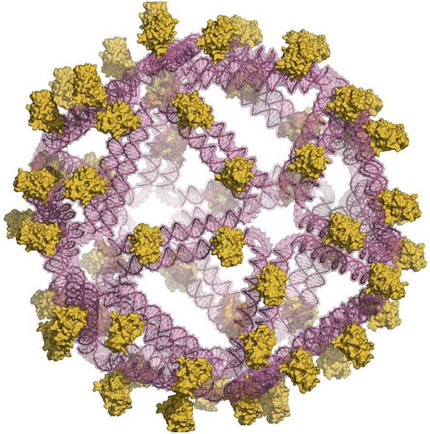 DNA Origami Boosts Anti-HIV Antibodies: Vaccine Breakthrough!