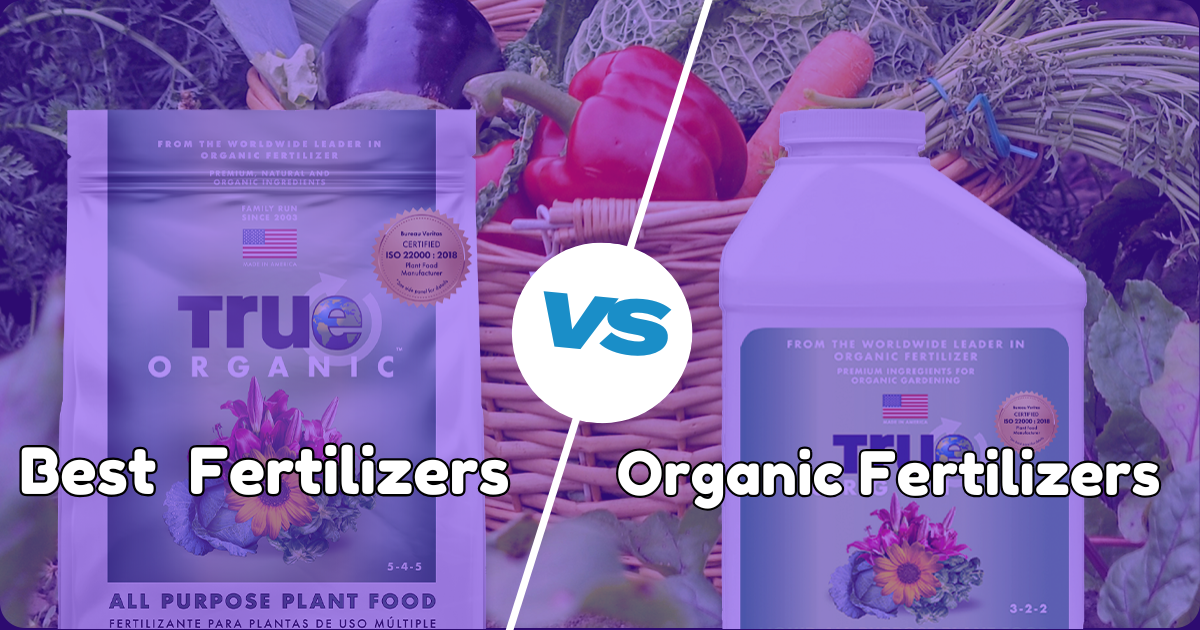 Discover the Best Organic Fertilizers to Boost Your Garden's Growth