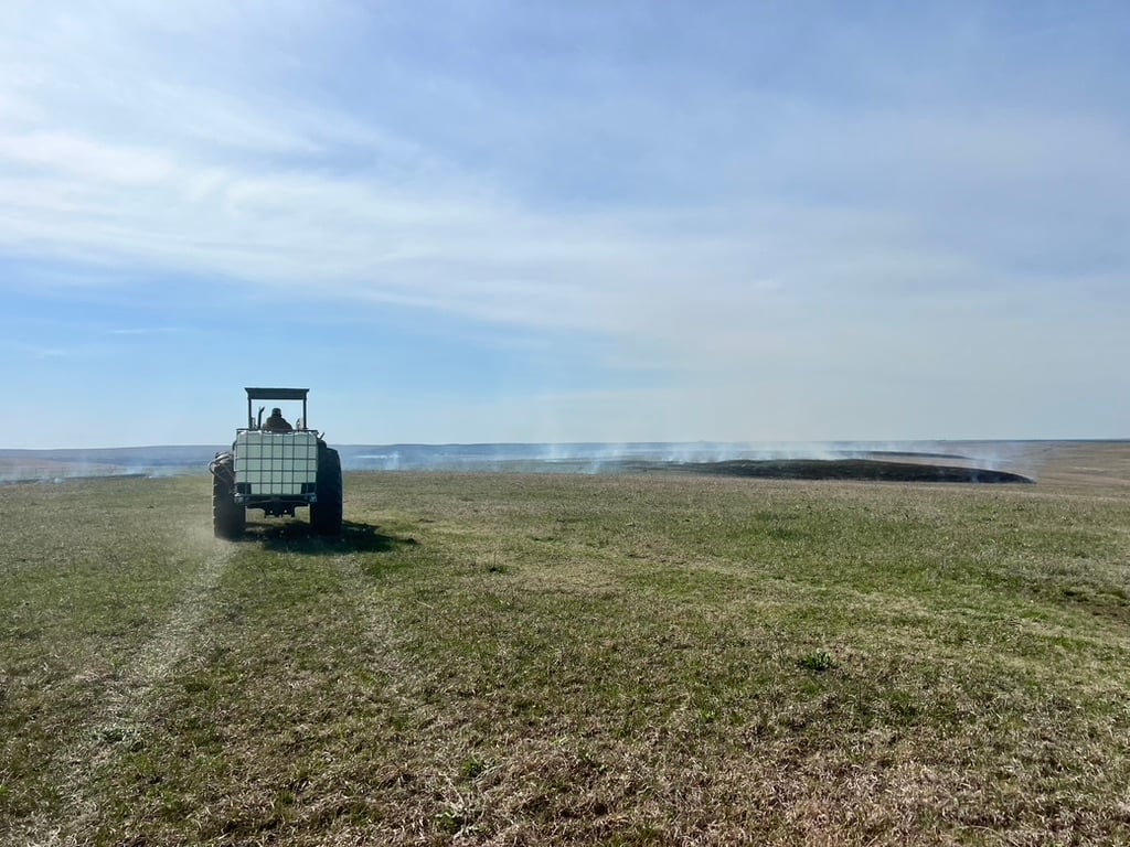 Introducing The Work