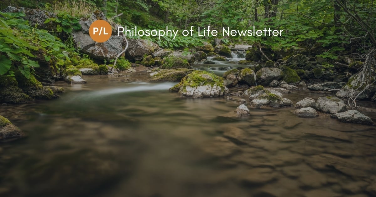 📜 Uncovering Your Core Values | Philosophical Ideas