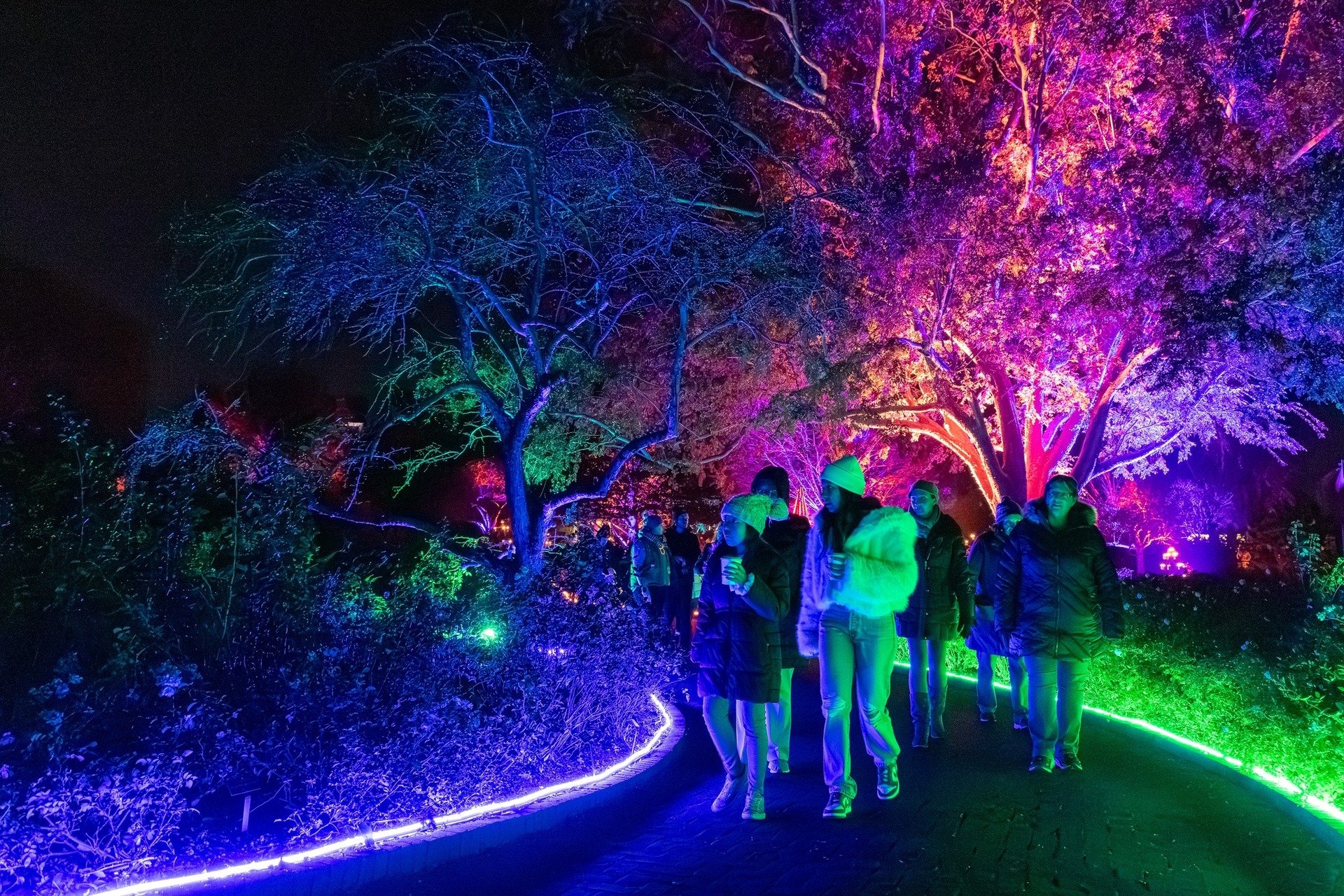 Holiday lights adventures near the Tri-Cities in 2025