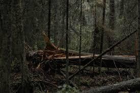 Winter at Valley Forge