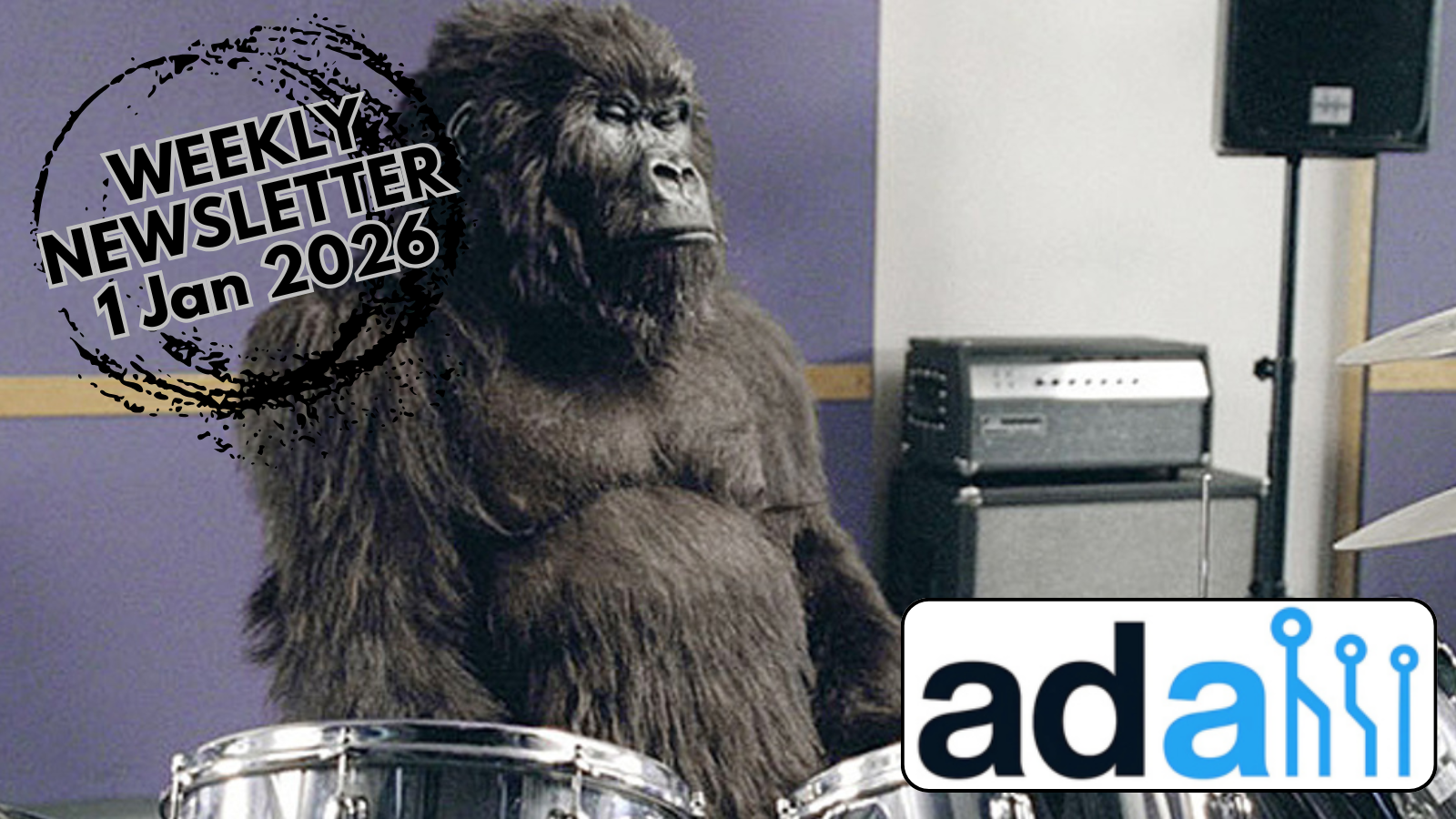 Your Weekly Playbook