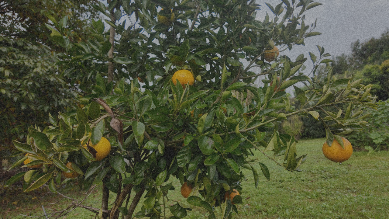 When Slow Feels Too Slow