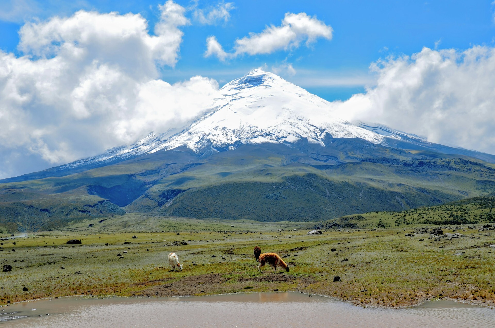 From Quito to the Andes: How to Take Day Trips from Ecuador’s Capital