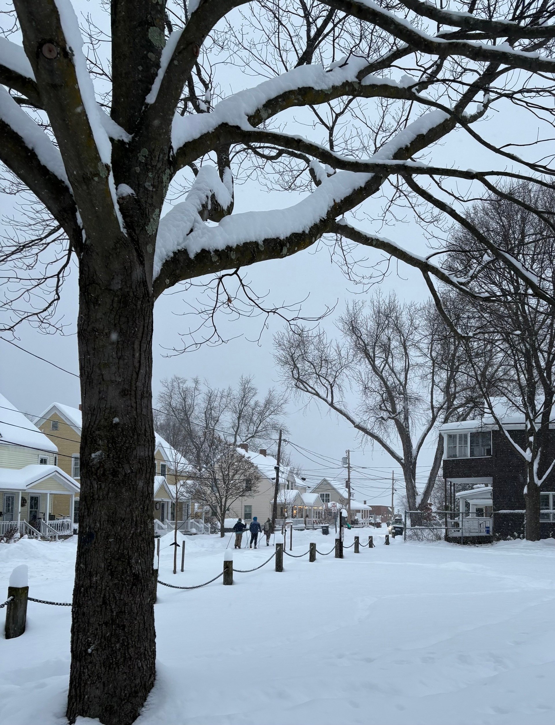 Monday, January 26th