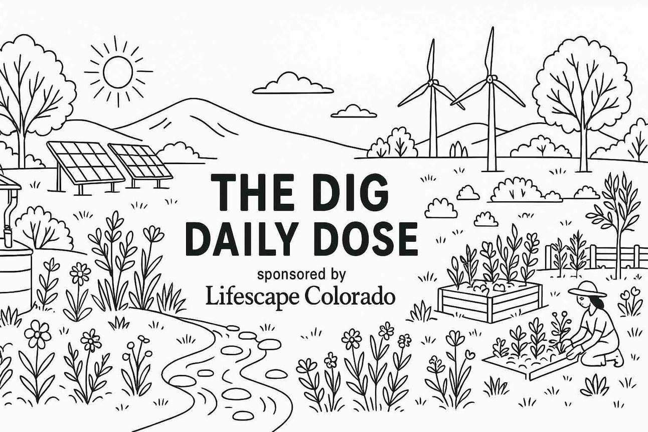 The Dig Daily Dose Edition 732