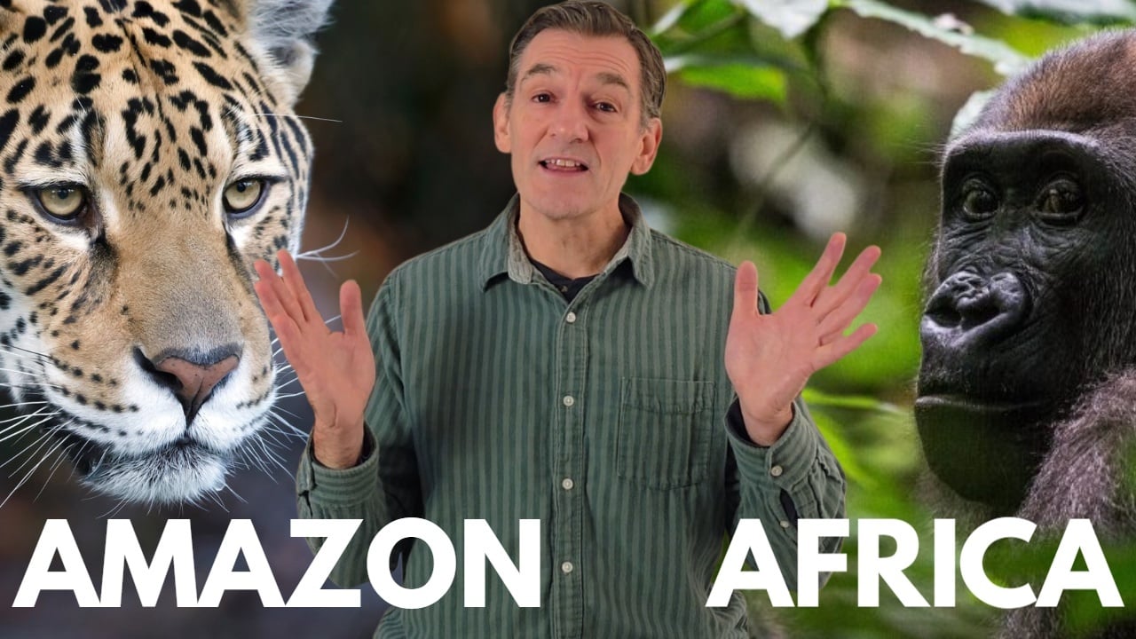 Two Rainforests. One Equator