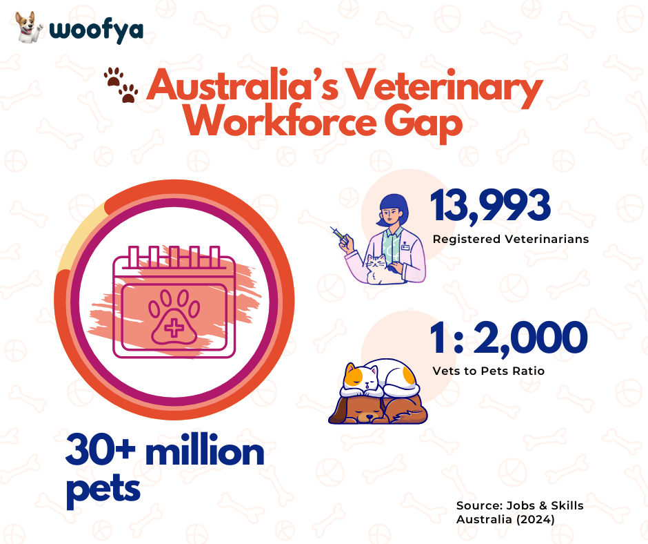 🐾 A Workforce Under Pressure: How Shortages and Stress Are Reshaping Veterinary Care
