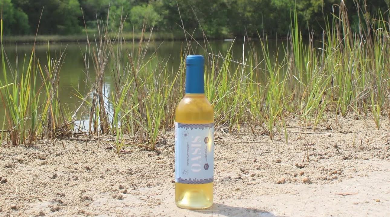 🌴 Deep Water Vineyards, Family Night at RiverDogs, The Harlow and Touching Grass