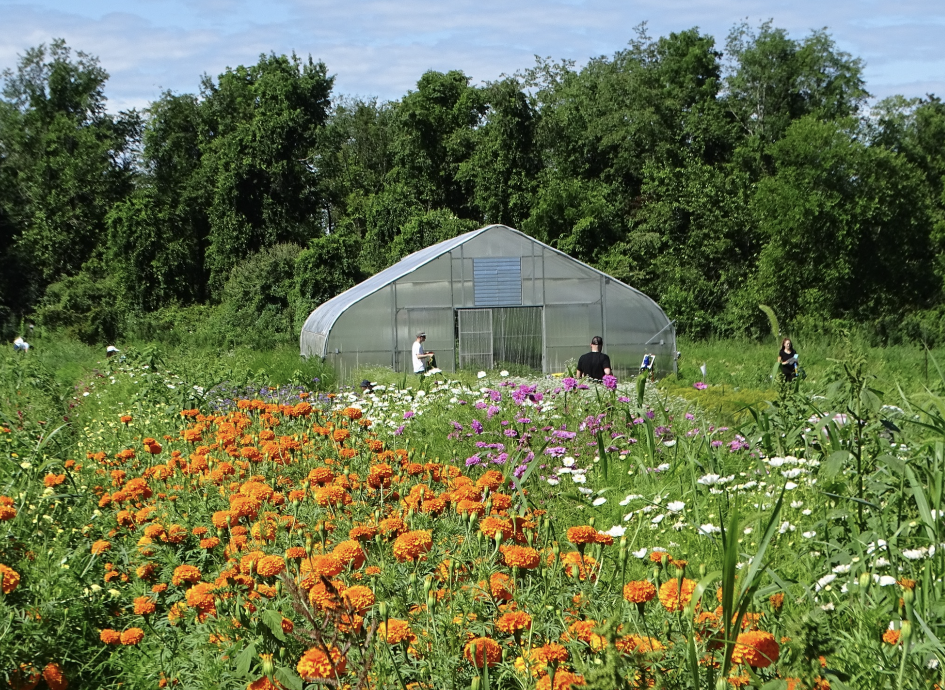 🇺🇸 Veterans BBQ & Weekend Fun in Poughkeepsie