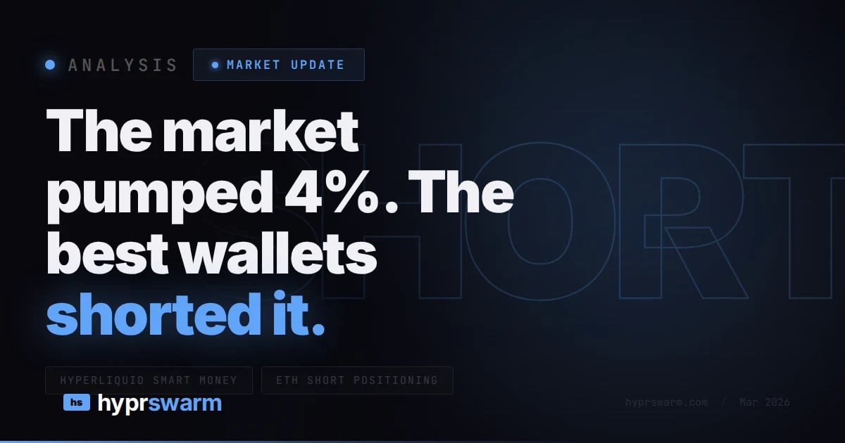 The market pumped 4%. The best wallets shorted it.
