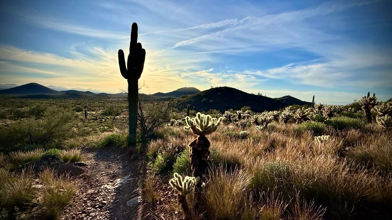 Sonoran “Secret Garden” Loop: Hawks Nest to Dixie Mountain and Back