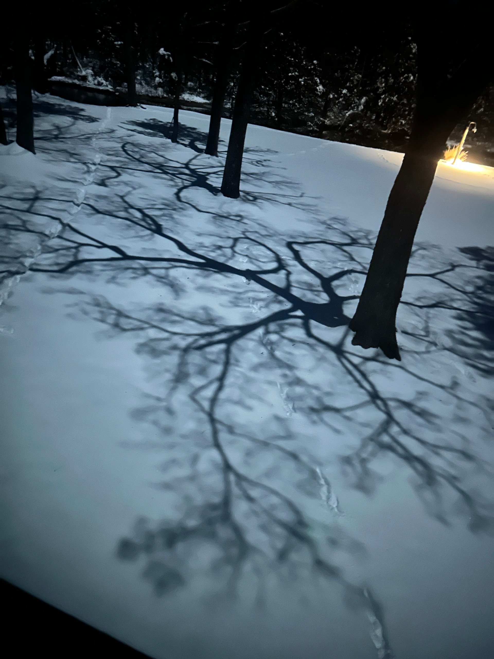 Pamlico Pix: Featuring our county-wide snow